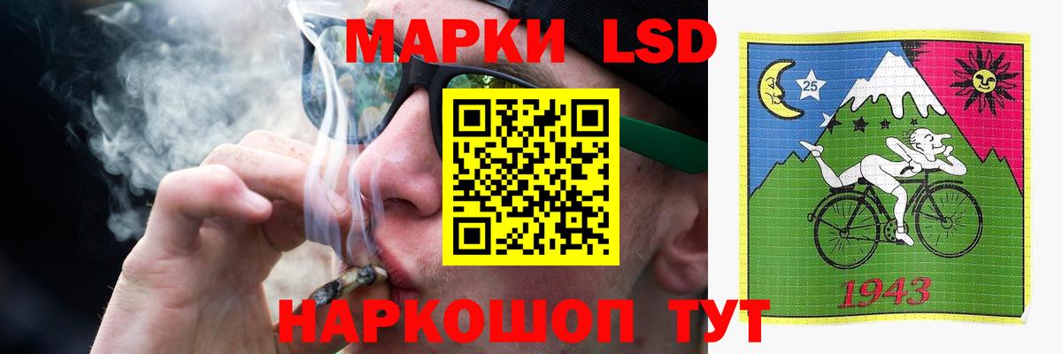 МЕФ Ярославль