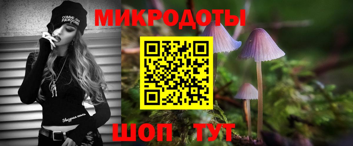 Псилоцибиновые грибы мицелий Ярославль